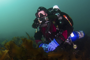 cours-recycleur-iantd-rebreather-dive