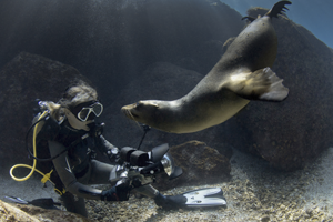 photographie-conservation-journalisme-underwater